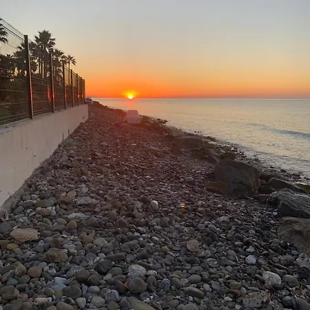 Omar Estepona